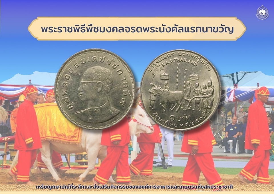 เหรียญวันนี้มีเรื่องเล่า พระราชพิธีพืชมงคลจรดพระนังคัลแรกนาขวัญ.jpg