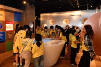 24bd594ada75538ce5a7699039071050.jpg