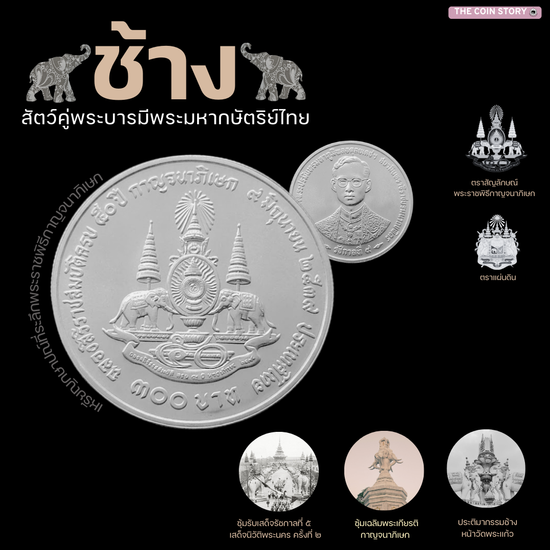 ๑๓ มีนาคม (2).png